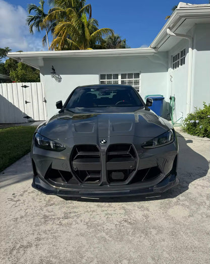 BMW Carbon Grill M3/M4 GX Reihe
