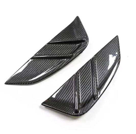 Echt Carbon Seitenabdeckung 1