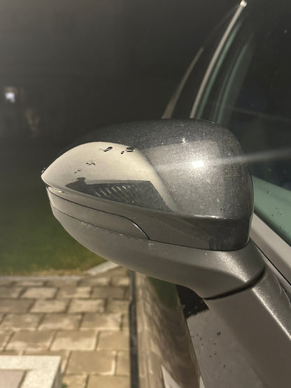 GOLF 8 und 7 DYNAMISCHE SPIEGELBLINKER 2020+