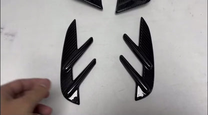 Echt Carbon Seitenabdeckung 2